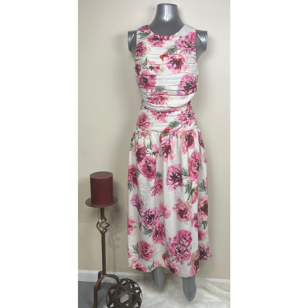 EXPRESS Floral High Neck Pleated Cutout Maxi Dress Size 14 NWT Spring Sh…